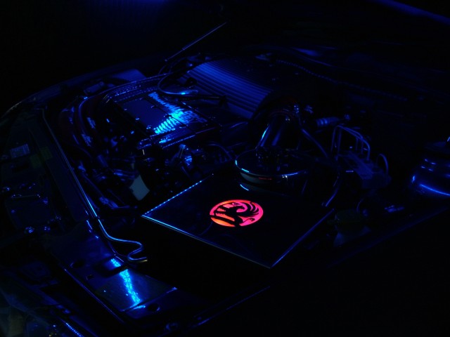 DSCF4610.JPG