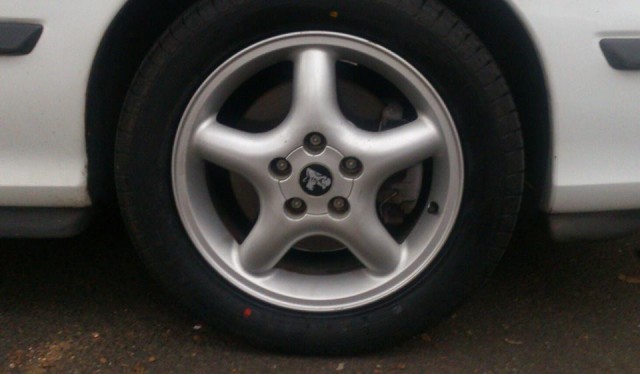 OSF 16 Inch.jpg